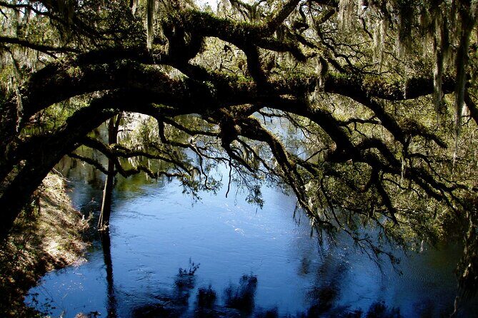 Orlando Alligator Experience - Price and value: is $100 for 5 hours a fair deal?
