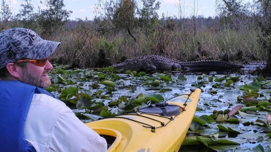 Orlando Alligator Experience: Day-Trip From Orlando - Kayaking the Wekiva: Why This 8-Mile Run Feels Remote