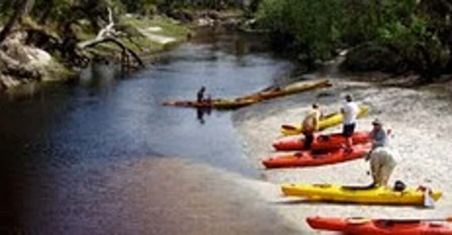 Orlando Alligator Experience: Day-Trip From Orlando - Your Paddle Rhythm: Beaches, Swimming Stops, Short Hikes, and Photo Breaks