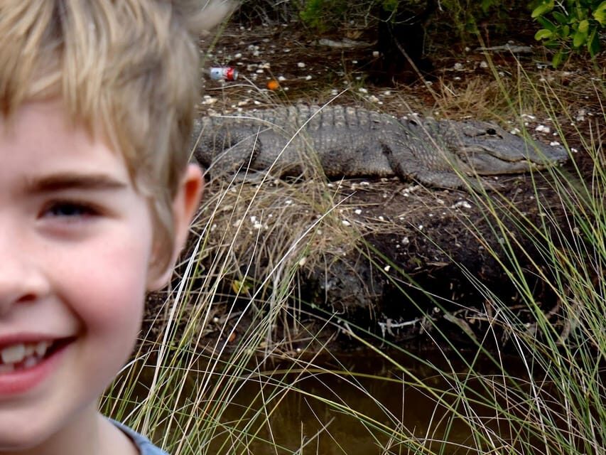 Orlando Alligator Experience: Day-Trip From Orlando - Price and Value: Is $107 Worth It for a 4.5-Hour Wildlife Day?