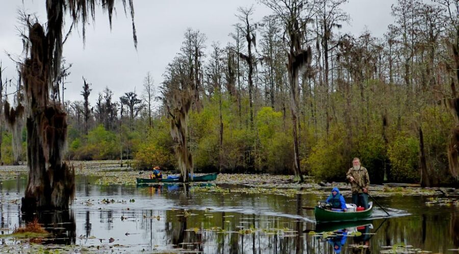 Orlando Alligator Experience: Day-Trip From Orlando - Who This Tour Fits Best (and Who Should Skip)