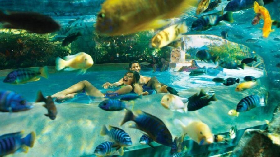 Orlando: Aquatica Water Park Admission Ticket - Key things to know before you go