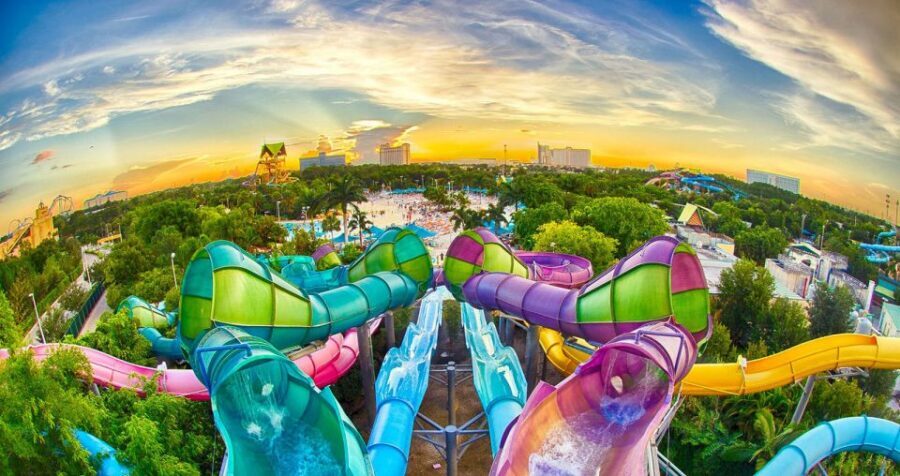 Orlando: Aquatica Water Park Admission Ticket - Up-close animal encounters: a nice change of pace from water rides