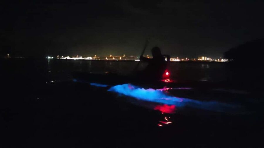 Orlando: Bioluminescence Kayak Adventure - What to Bring for a Better Night (Especially Bugs)