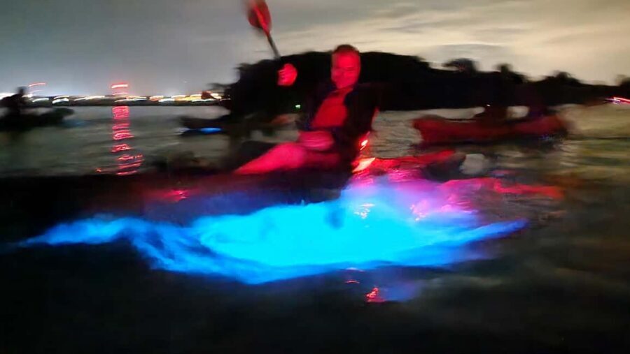 Orlando: Bioluminescence Kayak Adventure - Sunset vs Stargazing: Choosing the Right Departure Time