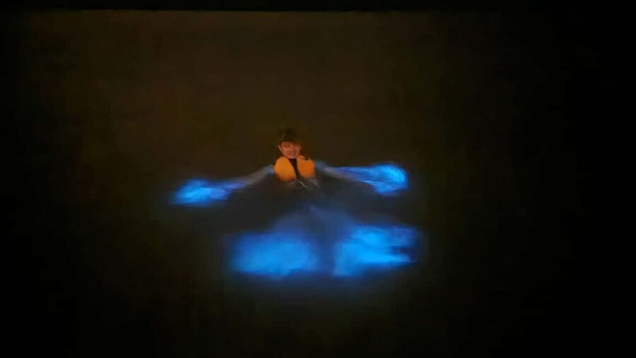 Orlando: Bioluminescence Kayak Adventure - Price and Value: Is $75 Worth a 1.5-Hour Night Out?