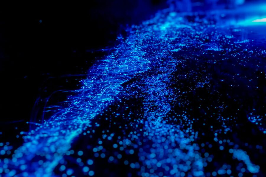 Orlando: Bioluminescence Kayak Tour - Banana River at night: your 1.5-hour window of magic