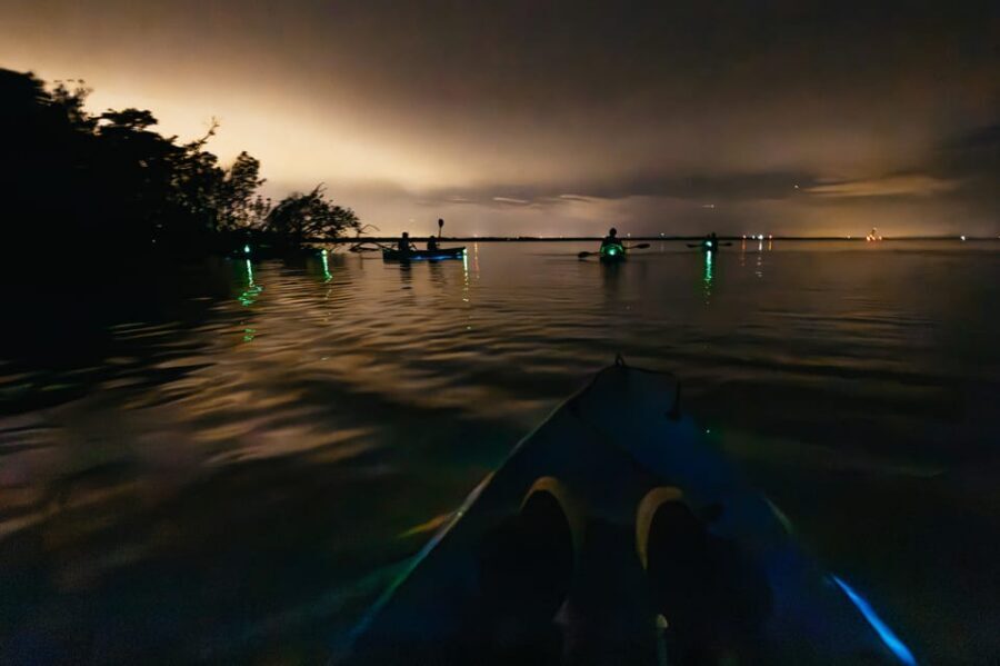 Orlando: Bioluminescence Kayak Tour - FAQ