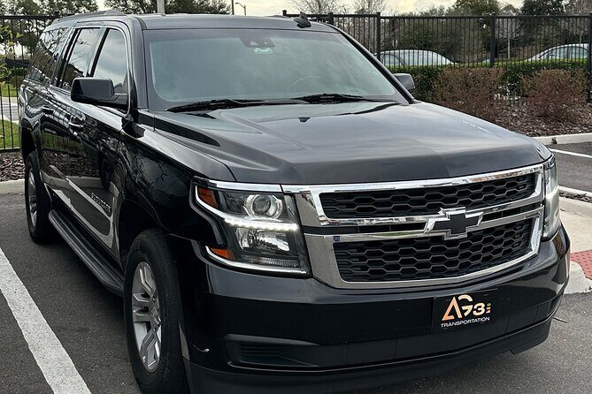 Orlando Chauffeur Transfer: MCO Airport/Hotels to Port Canaveral - Meet-up that saves your sanity: how pickup is coordinated
