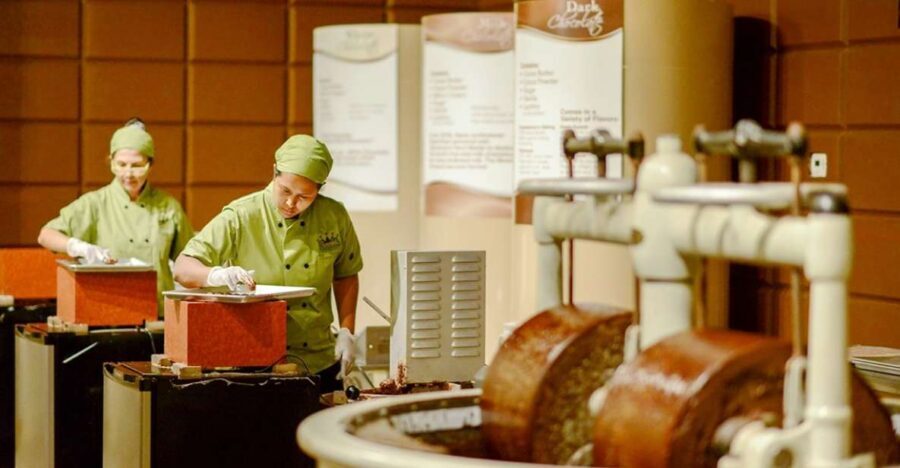 Orlando: Chocolate Kingdom Factory Adventure Tour - The micro-batch factory angle: why it feels more real than a typical chocolate shop
