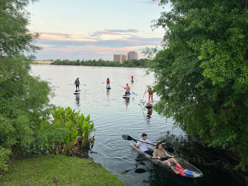 Orlando: Clear Kayak and Paddleboard 2-Hour Rental - Wildlife spotting: sea otters, fish, turtles, and birds