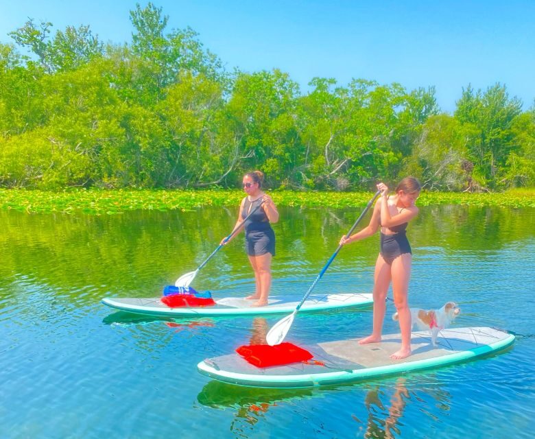 Orlando: Clear Kayak and Paddleboard 2-Hour Rental - Can you swim during the rental?