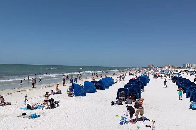Orlando: Clearwater Beach, Dolphin Cruise Small Group Max 14 Tour - Speed boat dolphin watch: what the optional hour is really for