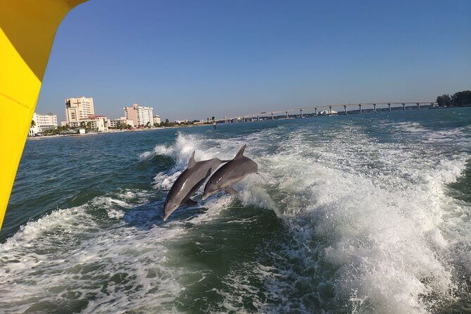 Orlando: Clearwater Beach, Dolphin Cruise Small Group Max 14 Tour - Timing and the 10-hour reality: setting expectations upfront