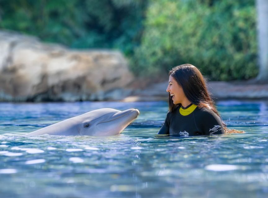 Orlando: Discovery Cove Admission Ticket & Additional Parks - Key highlights to know before you go