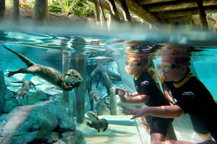 Orlando: Discovery Cove Admission Ticket & Additional Parks - Discovery Cove’s calm, all-inclusive format (and why that matters)