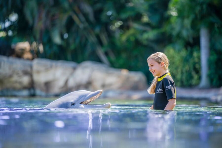 Orlando: Discovery Cove Admission Ticket & Additional Parks - Wind-away River and the lazy pace between habitats