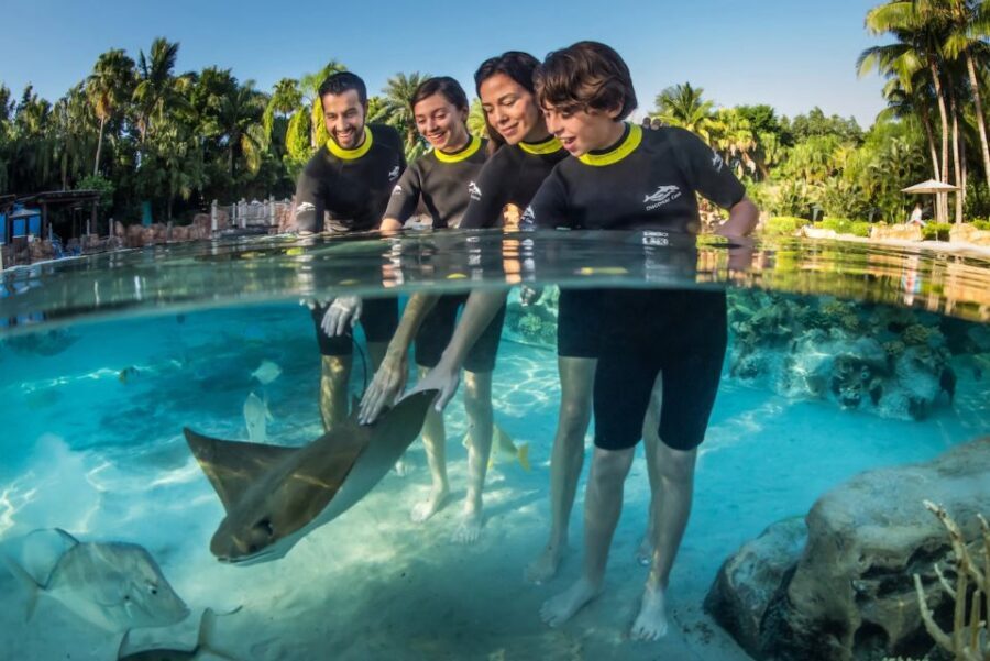 Orlando: Discovery Cove Admission Ticket & Additional Parks - Getting in early: check-in, lockers, and dolphin timing