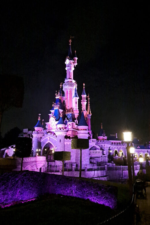 Orlando: Disneyworld and Universal Studios Personal Planner - Who This Fits Best in an Orlando Trip
