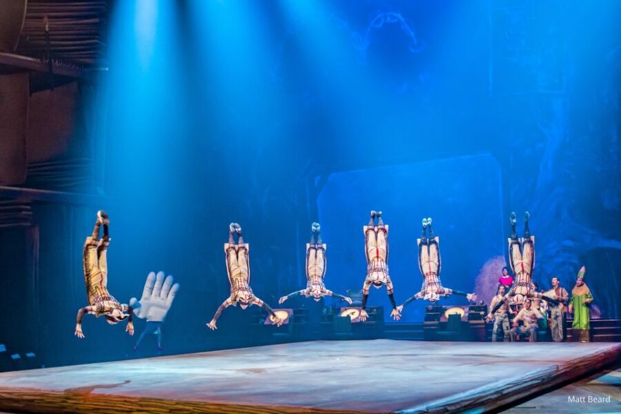 Orlando: "Drawn to Life" Cirque du Soleil Ticket - Who Should Book Drawn to Life (and Who Might Skip)