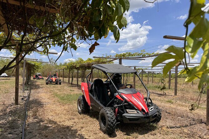 Orlando: Dune Buggy Tour - Orlando Countryside vs. Theme Parks: Why This Buggy Tour Works