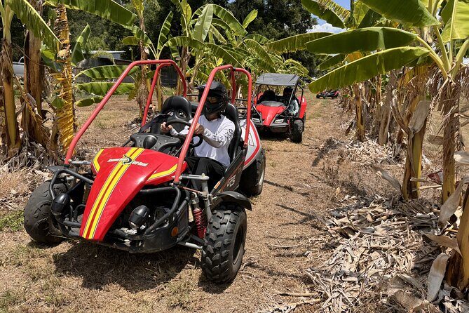 Orlando: Dune Buggy Tour - Two Riders, One Buggy: How Driving Rotation Actually Works