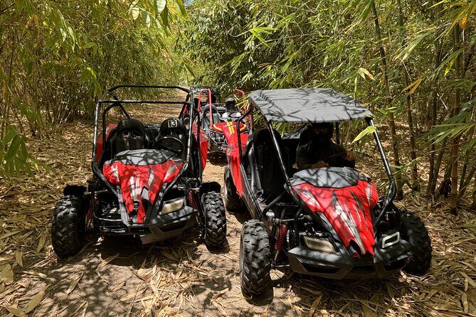 Orlando: Dune Buggy Tour - Gear Provided and What You Still Need to Bring