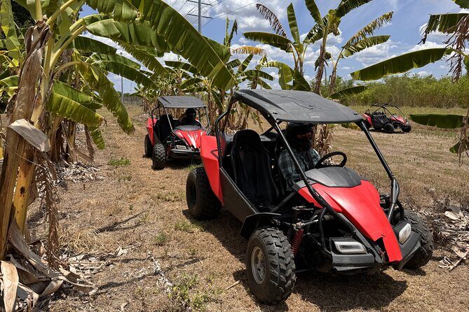 Orlando: Dune Buggy Tour - Price and Value: Is $89 Worth It for 3 Hours?