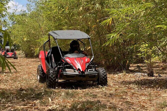 Orlando: Dune Buggy Tour - The 1115 Minnesota Ave Start: Your Real Schedule (and Why Timing Varies)