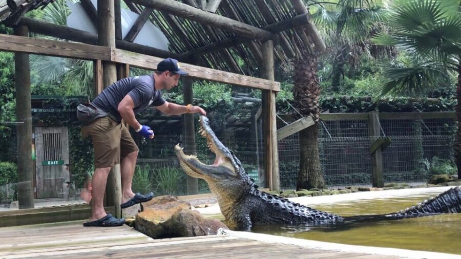 Orlando: Everglades Airboat Ride and Wildlife Park Ticket - Price and Value: Why $36 Feels Reasonable Here