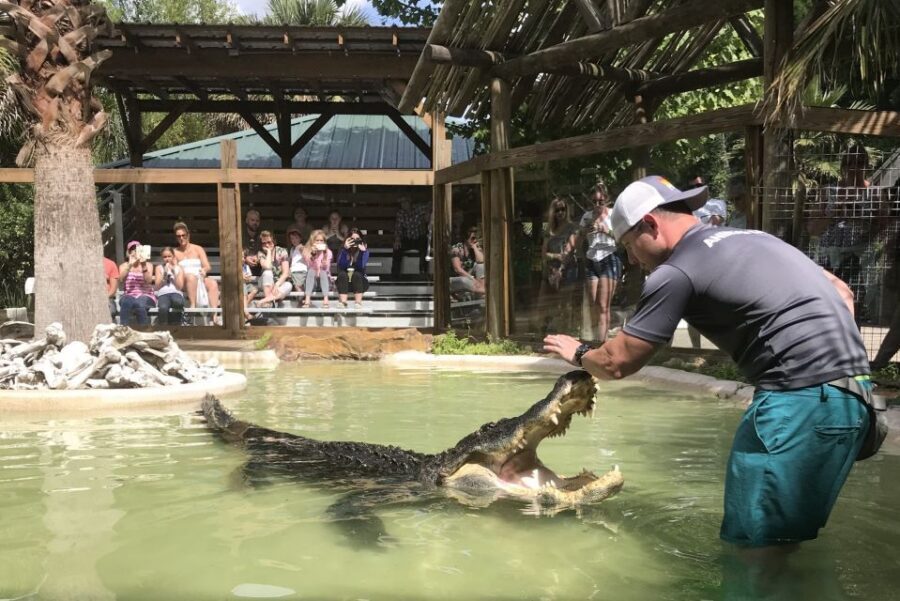 Orlando: Everglades Airboat Ride and Wildlife Park Ticket - Who This Orlando Everglades Airboat Ride Fits Best