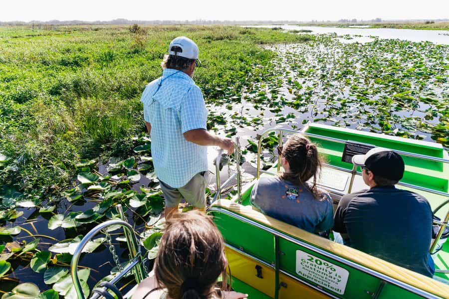 Orlando: Florida Everglades Wildlife Airboat Tour - Your guide makes or breaks the bird-and-gator game
