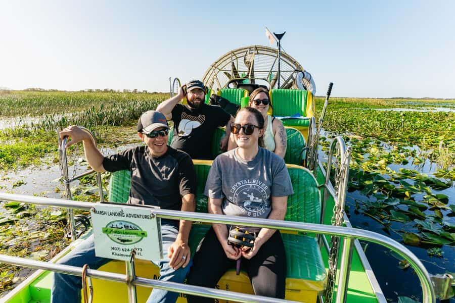Orlando: Florida Everglades Wildlife Airboat Tour - Wildlife odds: alligators, bald eagles, and the birds you didn’t plan for