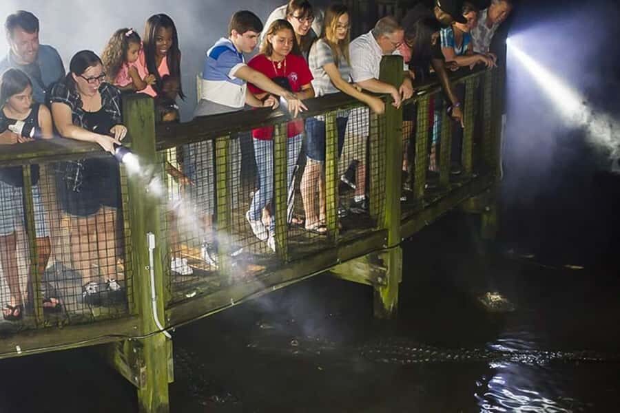 Orlando: Gatorland Flashlight Tour at Night - Key highlights you will notice