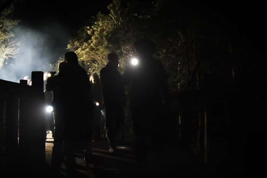 Orlando: Gatorland Flashlight Tour at Night - Entering Gatorland After Hours With a Flashlight and a Plan