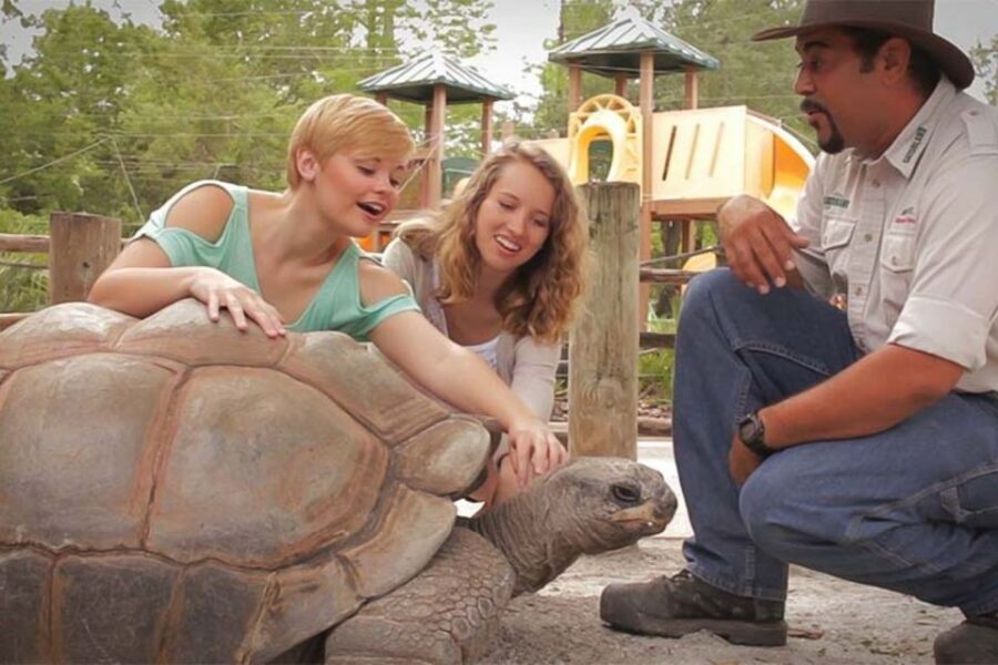 Orlando: Gatorland Interactive Tour with Animal Trainer - Key Highlights You’ll Feel in Real Life