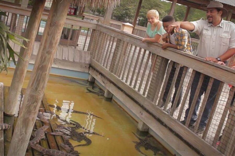Orlando: Gatorland Interactive Tour with Animal Trainer - Meeting at the Large Alligator’s Mouth: Start Strong