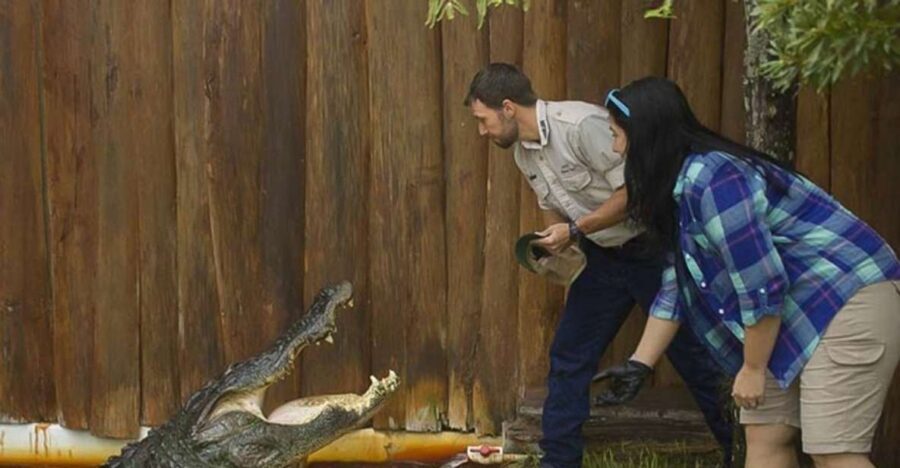 Orlando: Gatorland Interactive Tour with Animal Trainer - Behind the Scenes With Your Animal Trainer: Feeding and Behavior