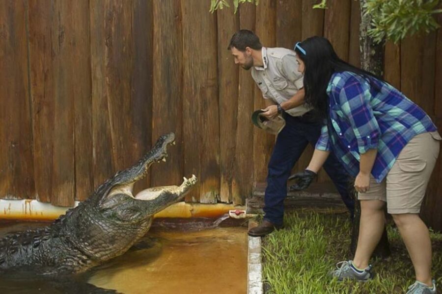 Orlando: Gatorland Interactive Tour with Animal Trainer - Baby Alligator Time: Why the Tour Starts Small