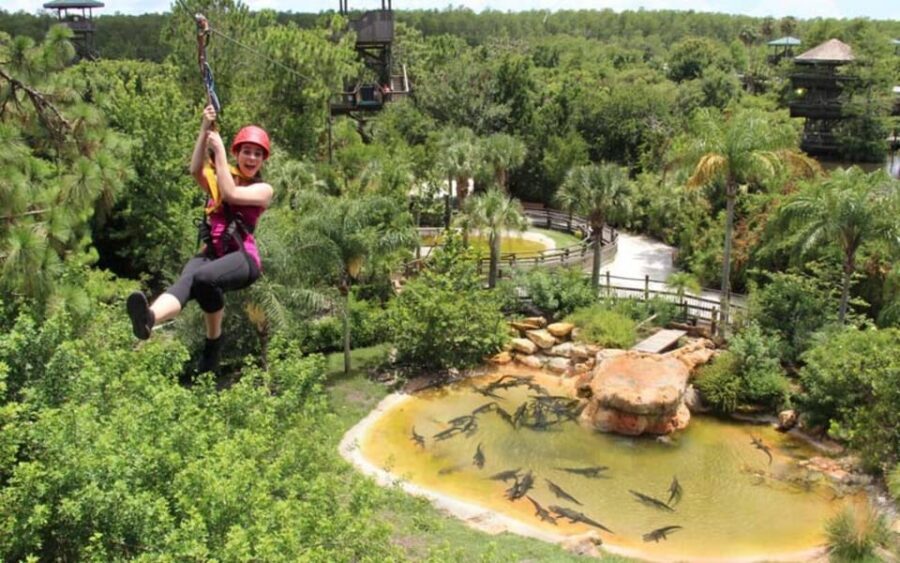 Orlando: Gatorland Zipline Adventure w/ Full-Day Park Access - Key Points You’ll Actually Care About