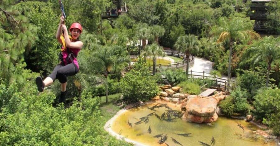 Orlando: Gatorland Zipline Adventure w/ Full-Day Park Access - Meeting Gatorland: What Setup Feels Like
