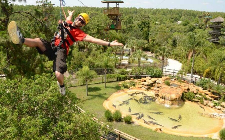 Orlando: Gatorland Zipline Adventure w/ Full-Day Park Access - The 90-Minute Zipline Circuit: Heights, Speed, and Pace