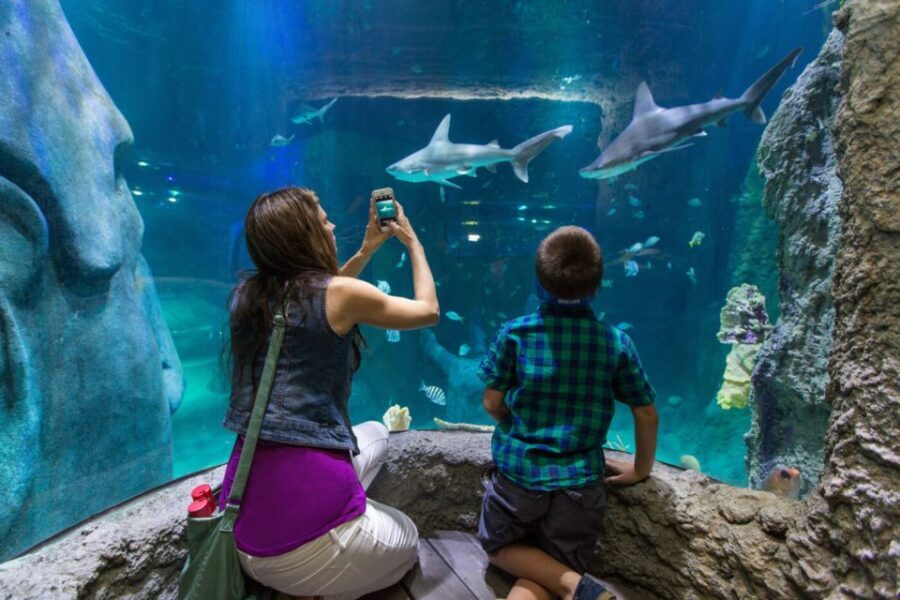 Orlando: Go City Explorer Pass - Choose 2 to 5 Attractions - Museum of Illusions, Madame Tussauds, and Titanic: Pick Your Genre