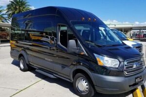 Orlando International Airport MCO to Lake Buena Vista Resorts - Airport Pickup at MCO: Meet the Driver and Get Moving