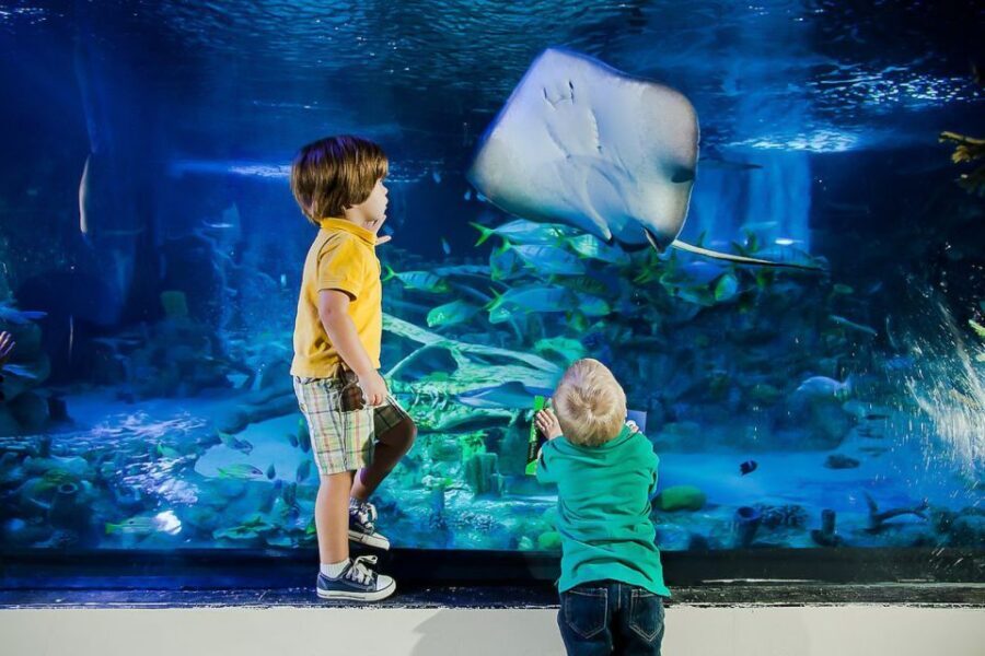 Orlando: Madame Tussauds and SEA LIFE Aquarium Combo Ticket - Two attractions on International Drive that fit a single day