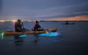 Orlando: Magic After Dark Bioluminescence Kayak Tour - The 90 Minutes: Safety Briefing and the Night Paddle Flow