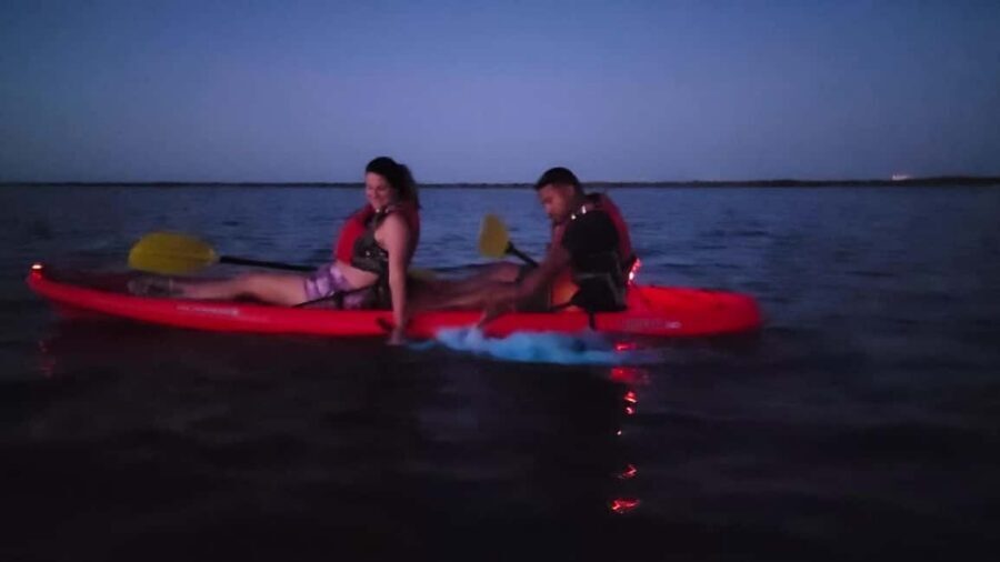 Orlando: Magic After Dark Bioluminescence Kayak Tour - What You Can Spot: Dolphins, Fish, Rays, and That Glow Reaction