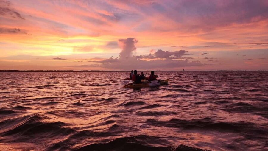 Orlando: Magic After Dark Bioluminescence Kayak Tour - Price and Value: Is $85 Worth It?
