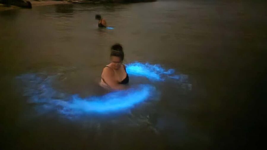 Orlando: Magic After Dark Bioluminescence Kayak Tour - Weather, Moonlight, and Realistic Glow Expectations
