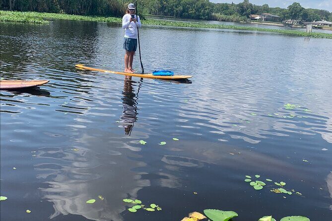 Orlando Manatee and Olde Florida History Adventure Tour - Key things to know before you go